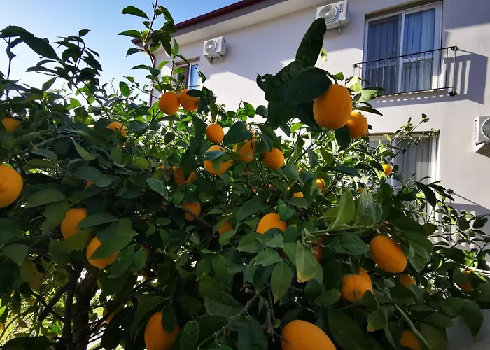 Pantera Evleri Karaburun (Izmir)