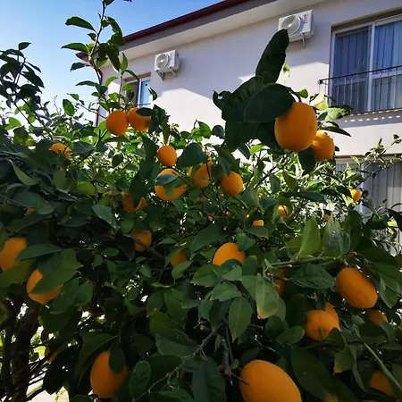 Pantera Evleri Karaburun (Izmir)